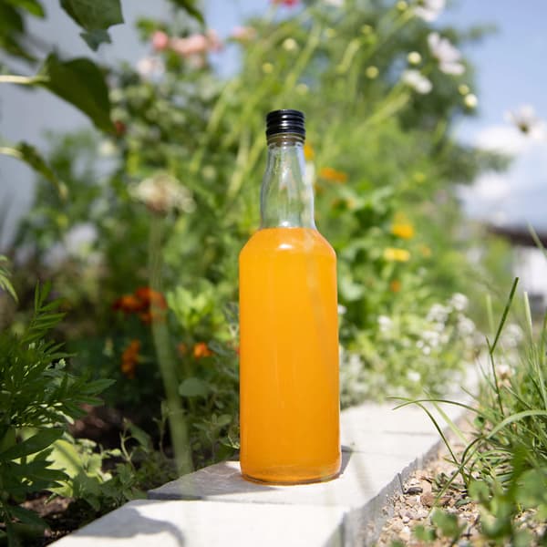 MONOPOL 500ml pullo + korkki lasipullot 0,5l vodkalle