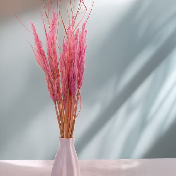 Mini Pampas-ruoho - Vaaleanpunainen - 10 kpl
