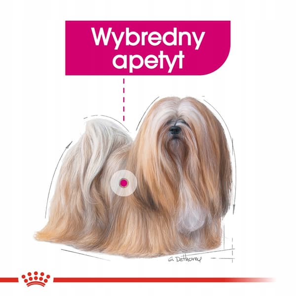ROYAL CANIN Liten Krävande 3kg