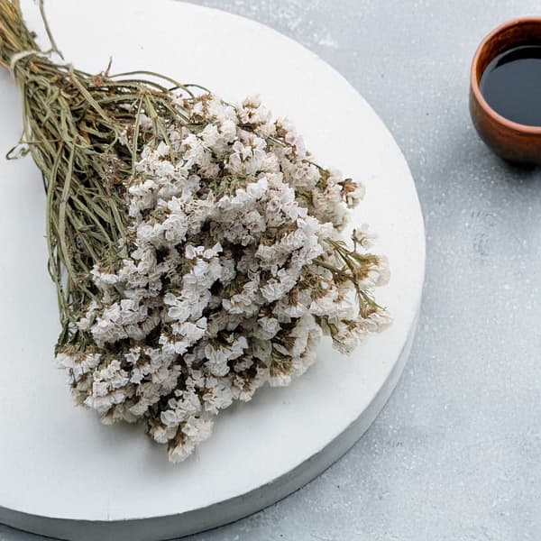 Limonium sinuatum - Vit
