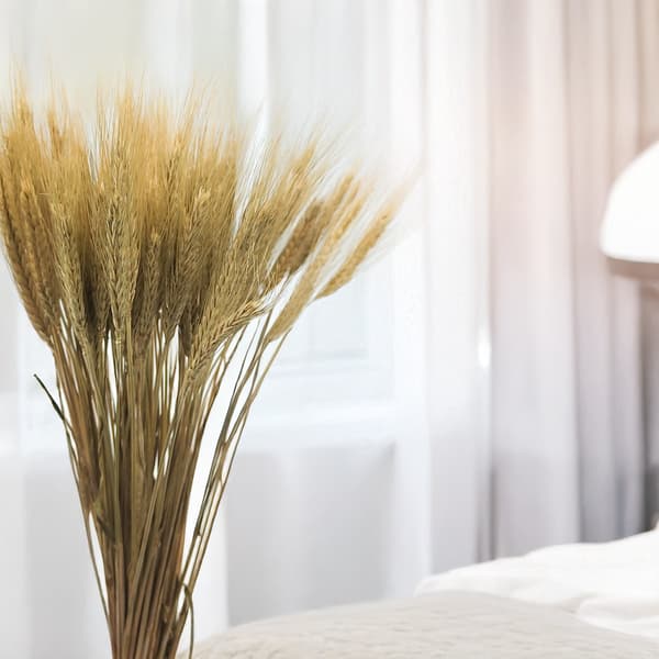 Torkad rågvete - Naturlig
