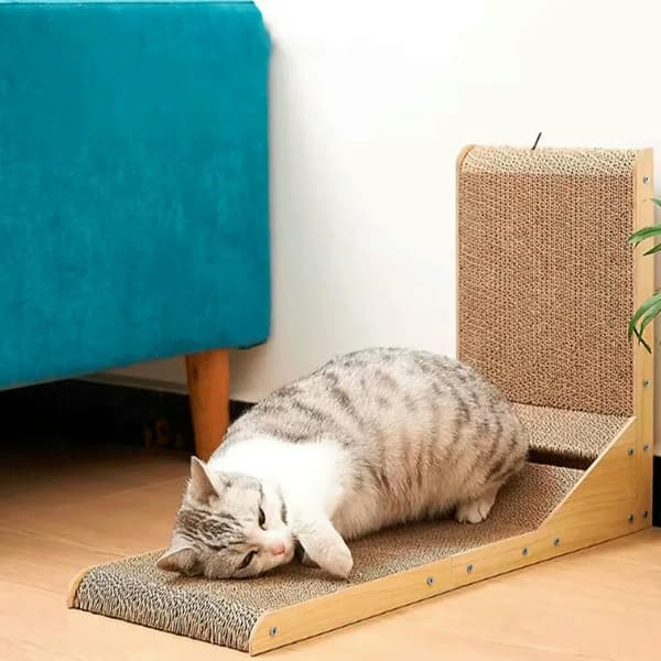 Hjørne kradsetræ til katte med bidsk bold 60 cm + katteurt