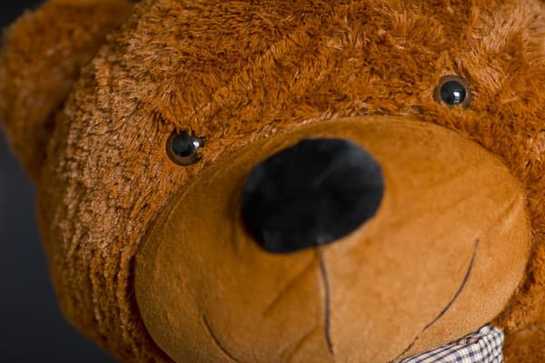 Teddy Classico 160cm - ruskea