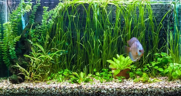 LED-lysrör 40cm SMD 8520 akvarium + KONTROLL
