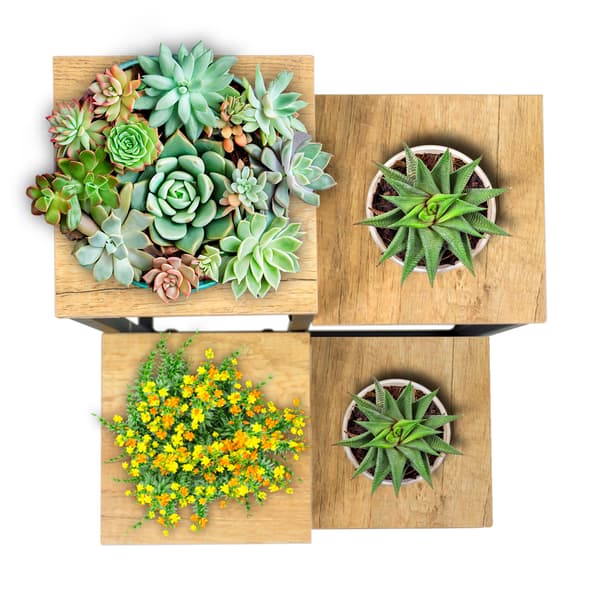 Stående blomsterstativ i flere niveauer til blomster og planter, industrielt rustikt 68