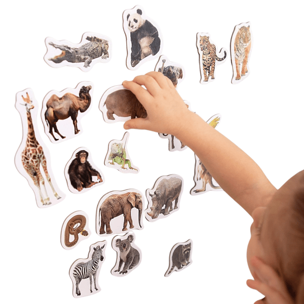 Zoo magnetset vilde dyr realistisk design solid udførelse MV6032-02