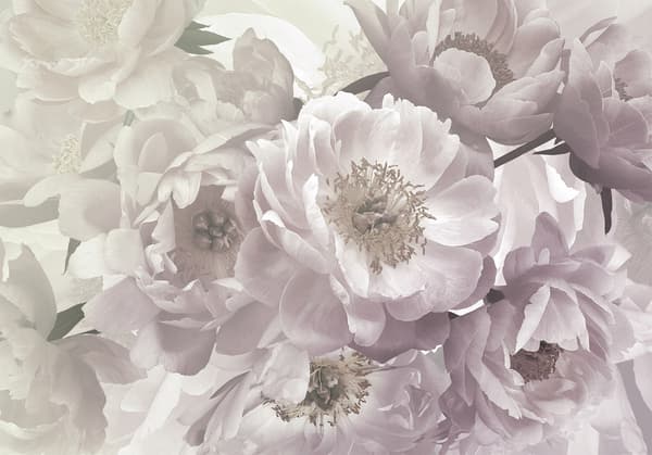 Fototapet - Blommande tanke