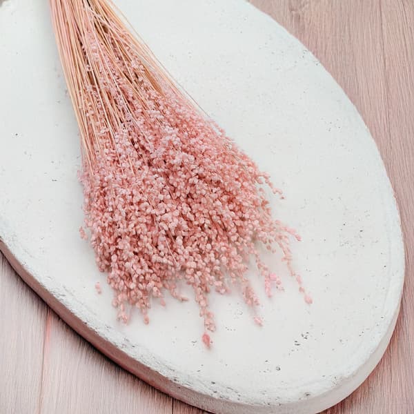 Briza Minima - Torkad Mini - Rosa