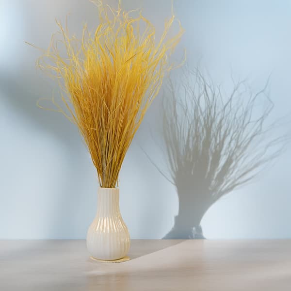 Torkad Stipa - Stipa pennata - Ingefära