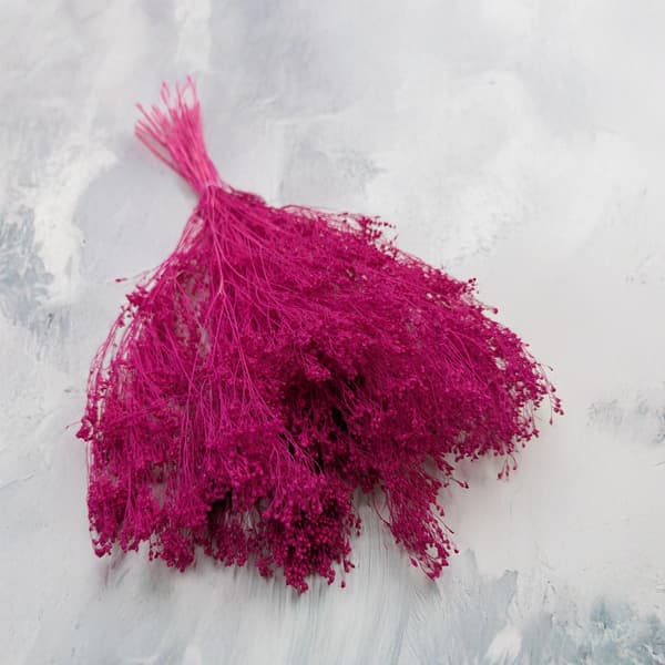 Tørret kostblomst - Kost - Fuchsia
