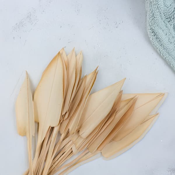 Palmpilblad - pil - (Palmspjut) - Blekt - 20 st