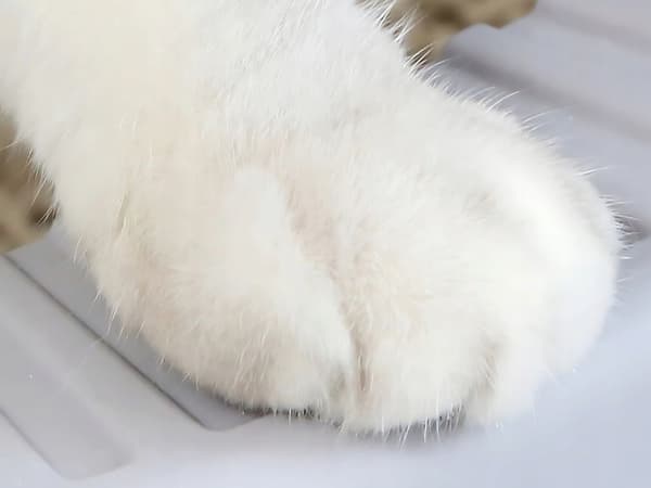 Kattebakke til kat med skovl 2 (20)