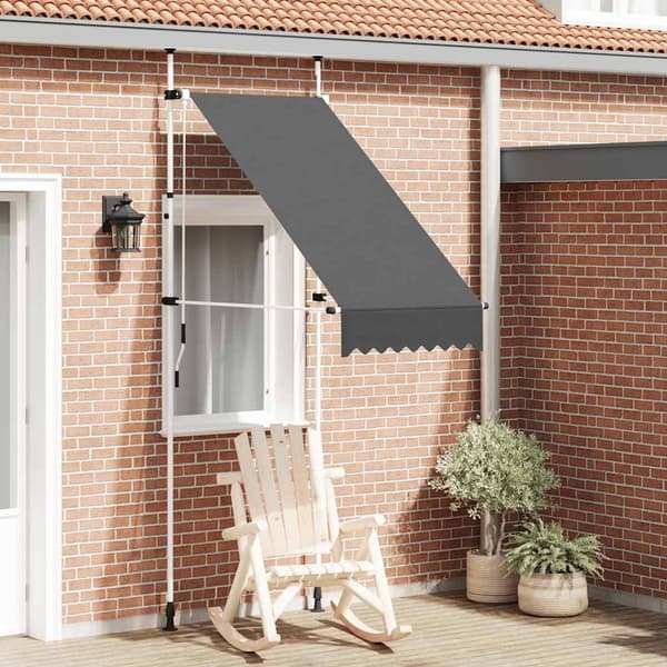 vidaXL manuel rullemarkise, 100 cm, antracit