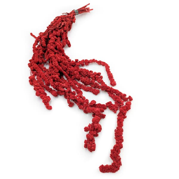 Stabiliserad sfärisk amarant - Amaranth - Röd