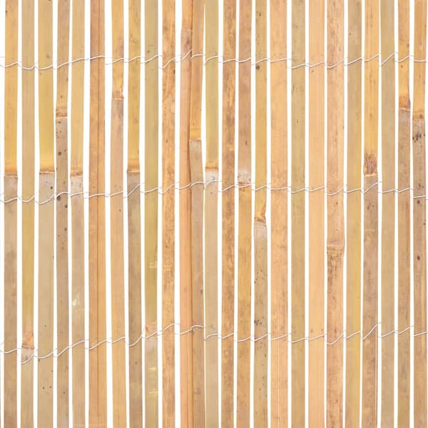 vidaXL Bambu staket 1000 x 50 cm