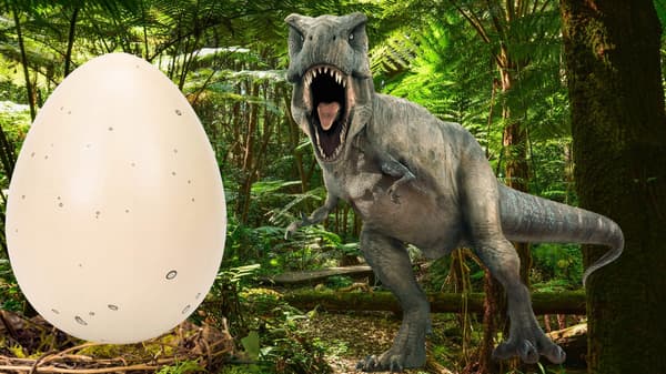 Stort dinosauræg klækkende dinosauræg