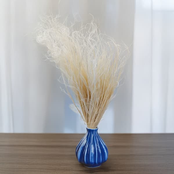 Torkad Stipa - Stipa pennata - Blekt