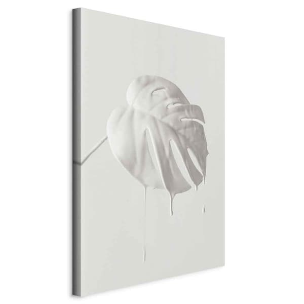 Billede - Lys monstera (endel) stående
