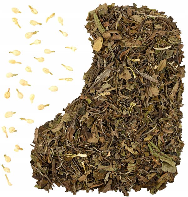 Vit jasminte JASMINE BURST pai mu tan