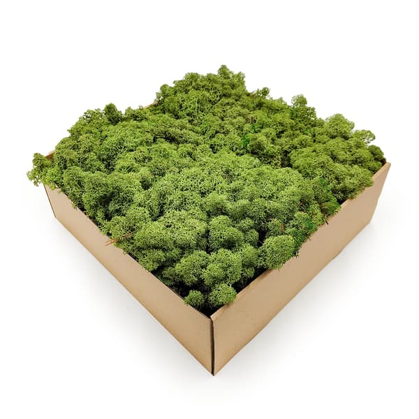 Renmossa - Norge - Mellangrön 50g NETTO