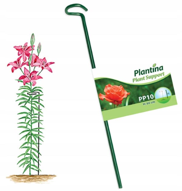 Stålstöd för växter 60 cm, pulverlackerat grönt, stabilt