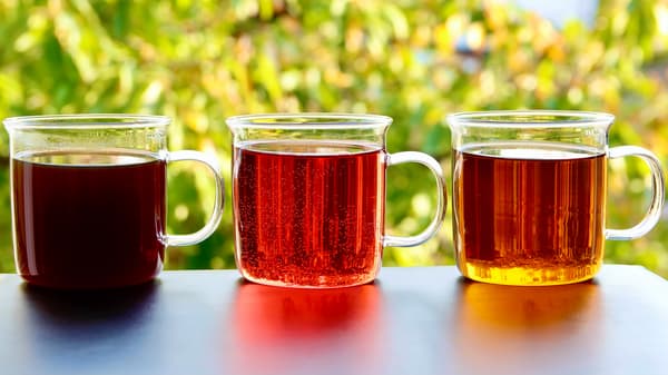 GLAS FÖR VINTERGLÖGG 450 ml SET OM 4 PERFEKT FÖR KAFFE