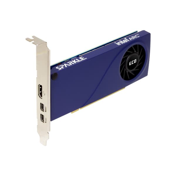 Grafikkort SPARKLE Intel ARC A310 ECO 4GB GDDR6