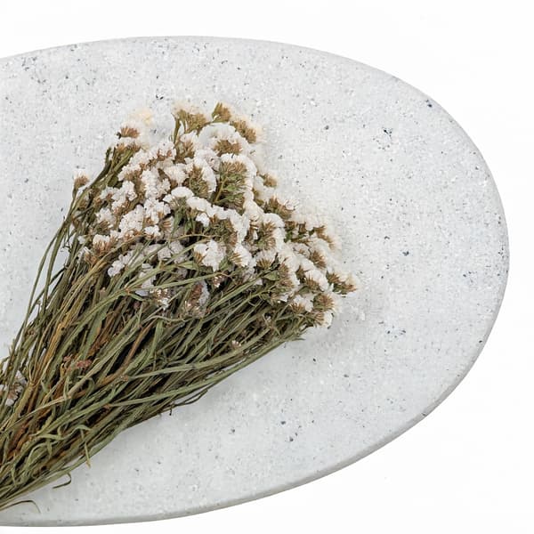 Limonium sinuatum - Valkoinen