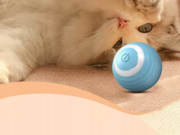Automatisk boll för katt (200)
