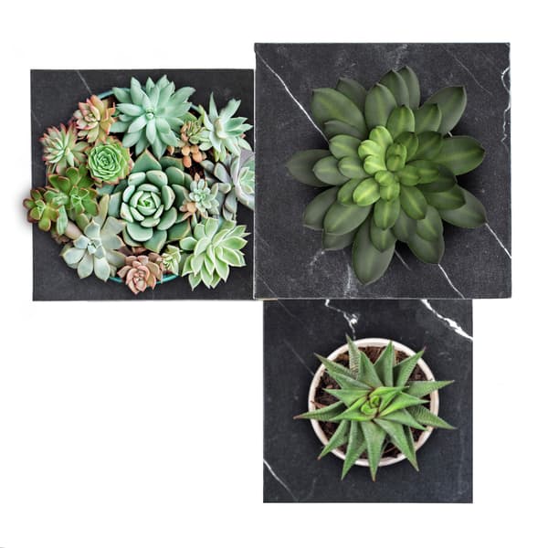 Blomsterstativ i flere niveauer, 3 niveauer, rustik loftsgulvstativ, 68 cm