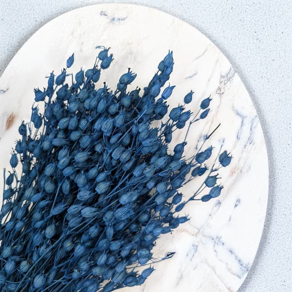 Silene - Sininen