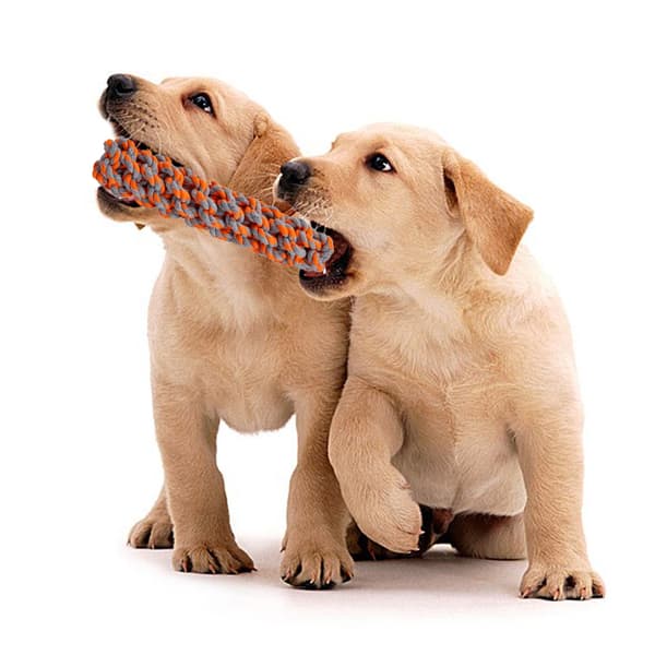 SPANKY hundetræksæt 5 dele