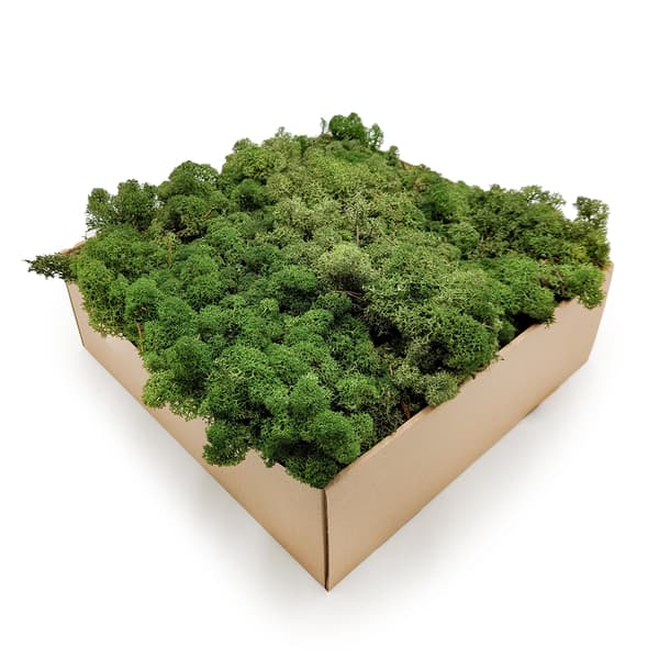 Renmossa - Norge - Flaska 500g NETTO