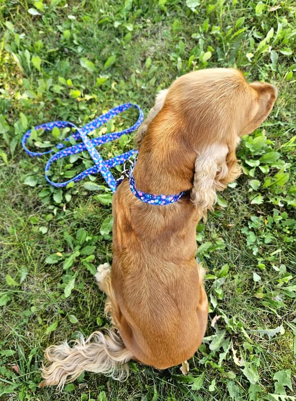 Justerbart håndlavet hundehalsbånd ASTROWORLD M: 30-45cm