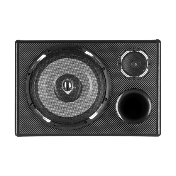 Peiying 10" bilsubwoofer 200 W bastubakabinetskabsluttet undersystem