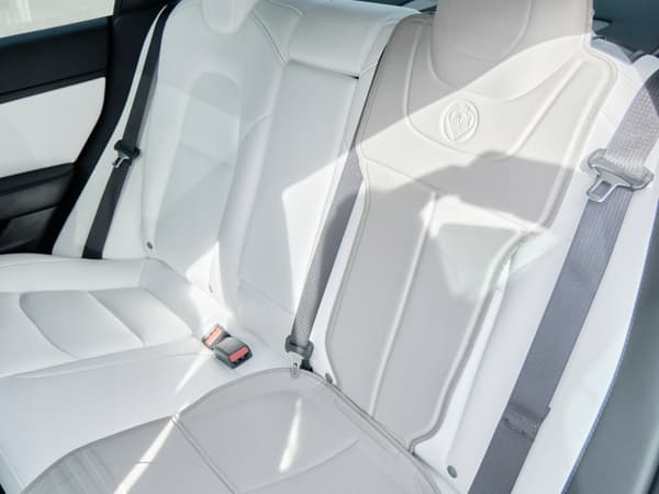 BILSTOLSMATTA TILL TESLA PRINCE LEJONHJÄRTA
