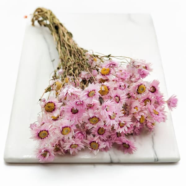 Tørret Rhodanthe - Lyserød
