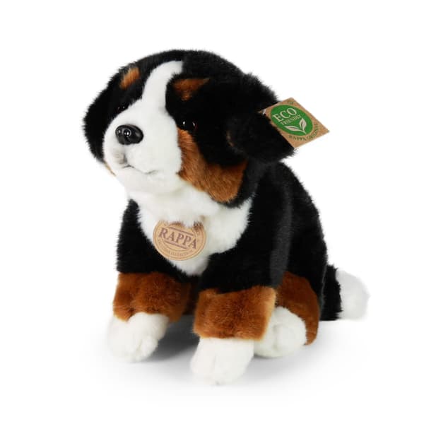 RAPPA 200845 Plys Berner Sennenhund