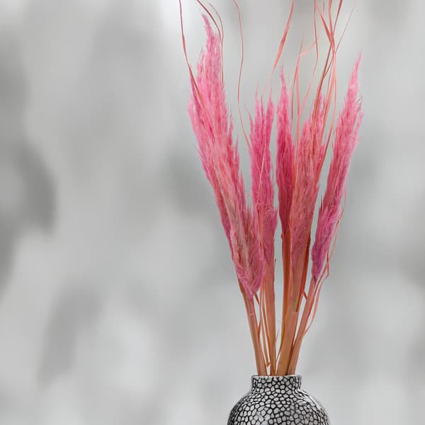 Mini Pampas Græs - Lyserød - 10 stk