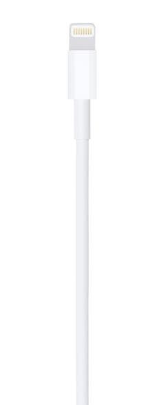 Kabel APPLE USB - Lightning 1m MUQW3ZM/A