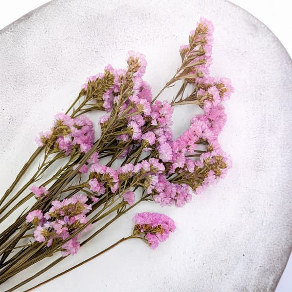 Stabilized Limonium sinuatum - Vaaleanpunainen