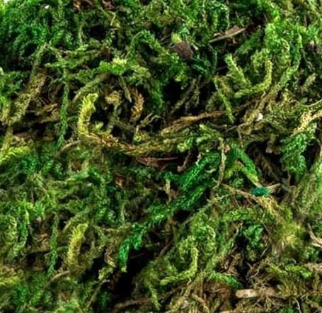 Luonnon sammaljauhe 30g