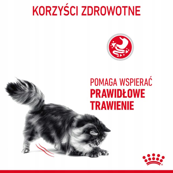 Royal Canin Digestive Care torrfoder för katter 10 kg