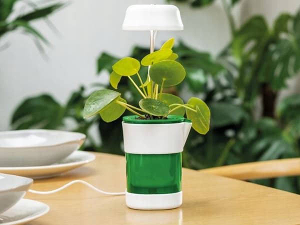 LED lampe til dyrkning af planter (80) GAB_B