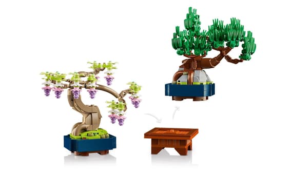 LEGO 10373 Botanisk samling