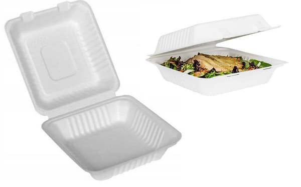 Måltidsbehållare ECO av rörsocker odelad 22x22x7cm 50 st