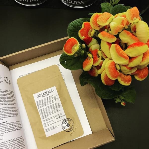 Kaffe Kopi Luwak 50g vild Sumatra gave