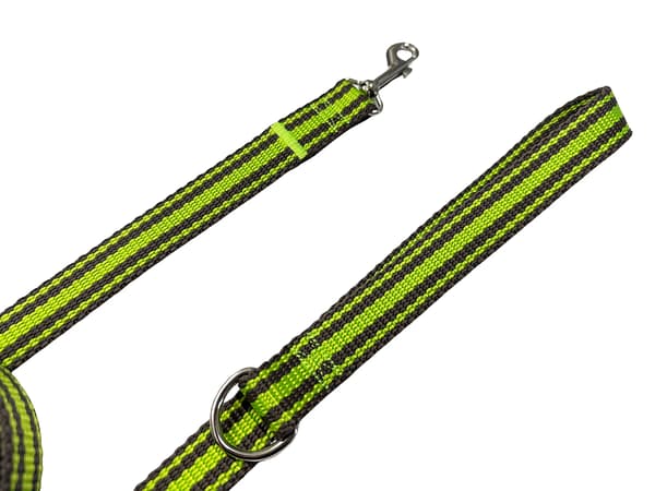 Klassisk hundesnor til gåture, solid, komfortabel, grafitgrøn, S - 110cm