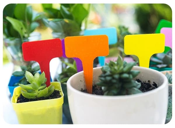 Etiketter TIL planter 50 STK (200)/125 GAB_A