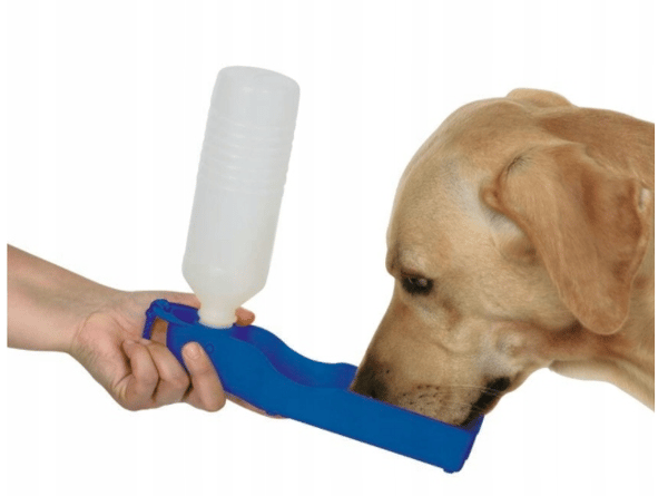 Rejsevandskål til hund eller kat